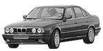BMW E34 P1E1C Fault Code